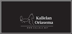 Kallelan Oriasema